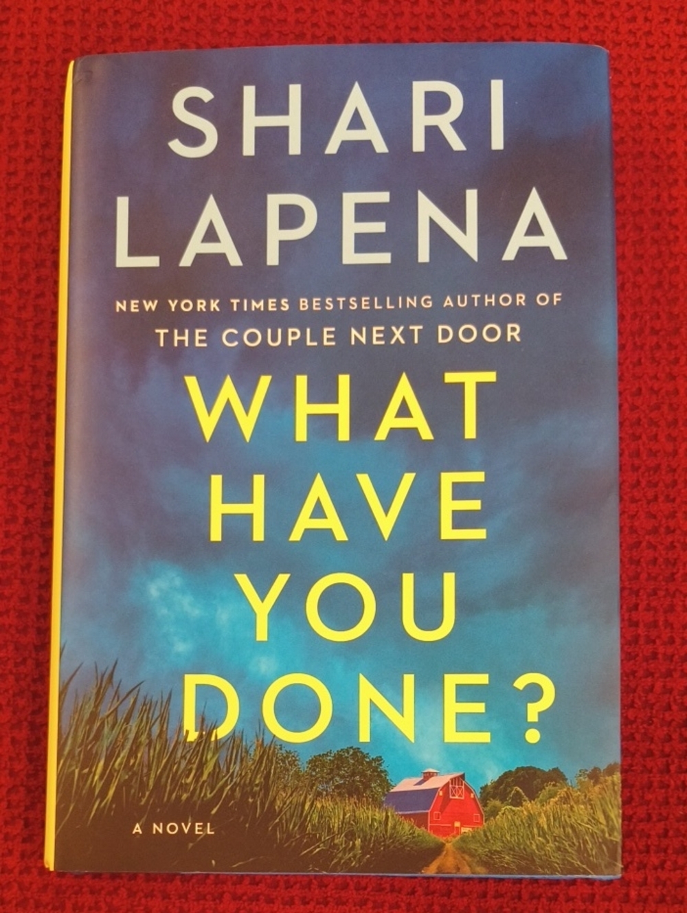 "What Have You Done?" By Shari Lapens Hardcover NWT